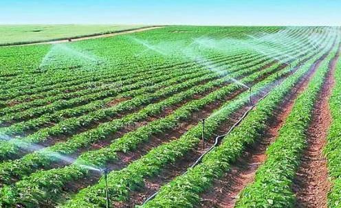 插吧插视频网农田高 效节水灌溉
